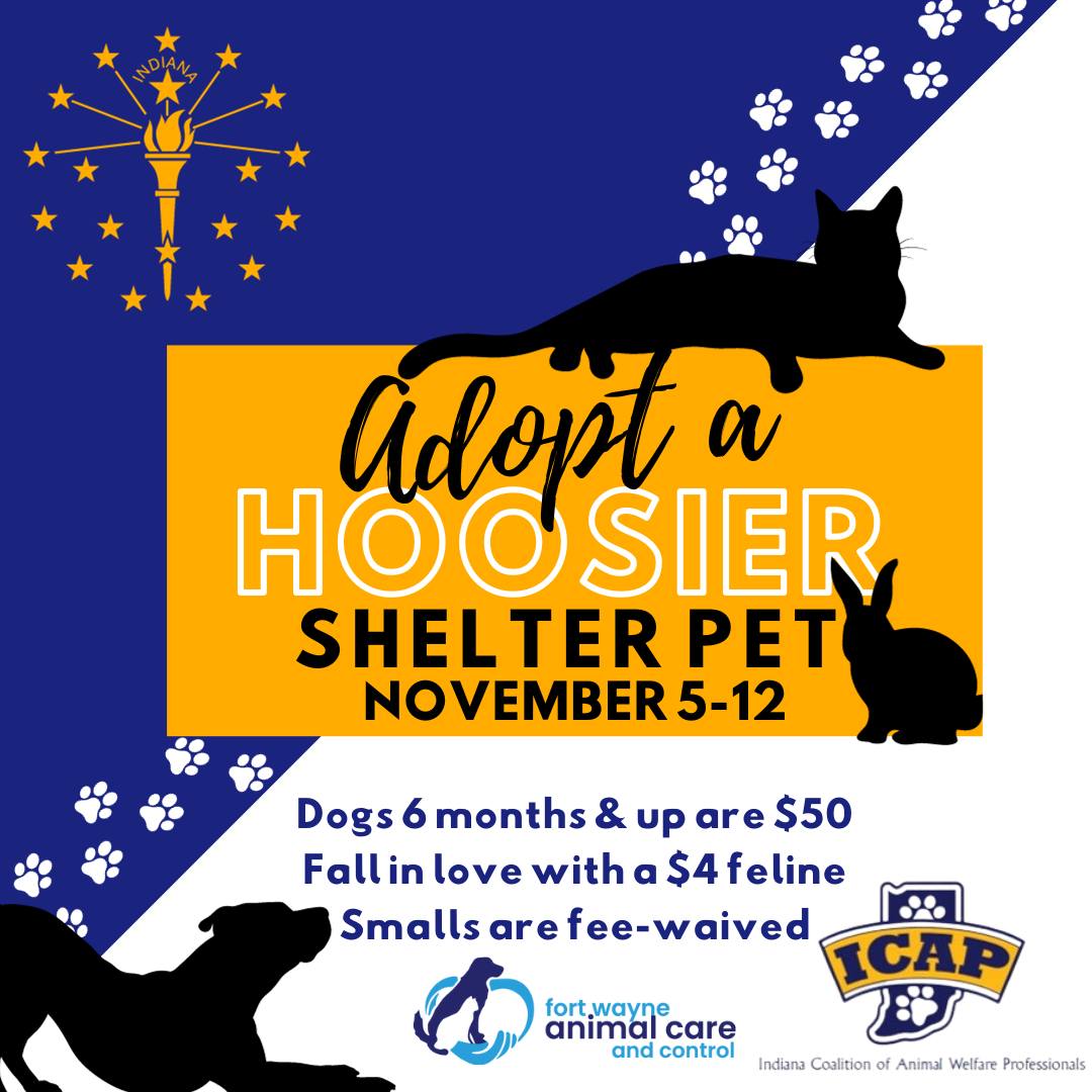 Adopt_a_Hoosier_Shelter_Pet.jpg