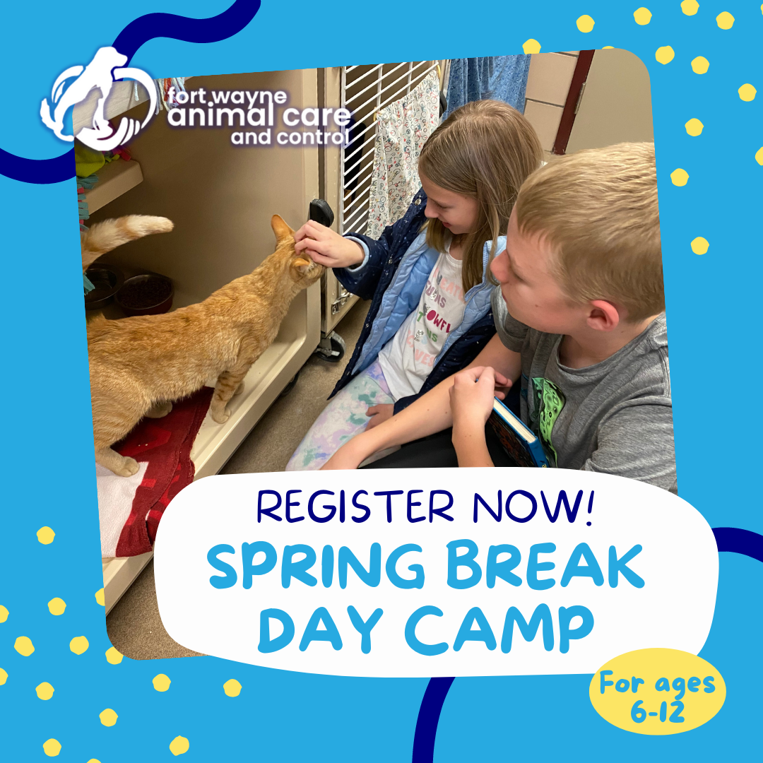 Spring Break Register