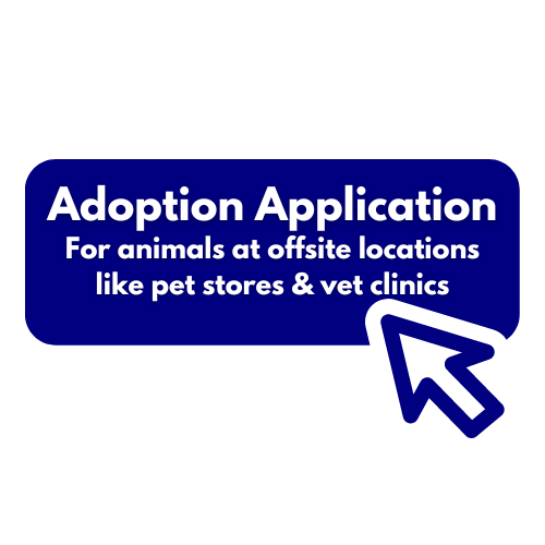 Adoption Application Buttons