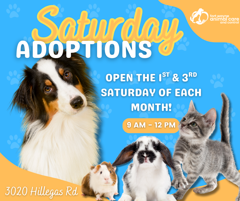 Saturday Adoptions1 Facebook