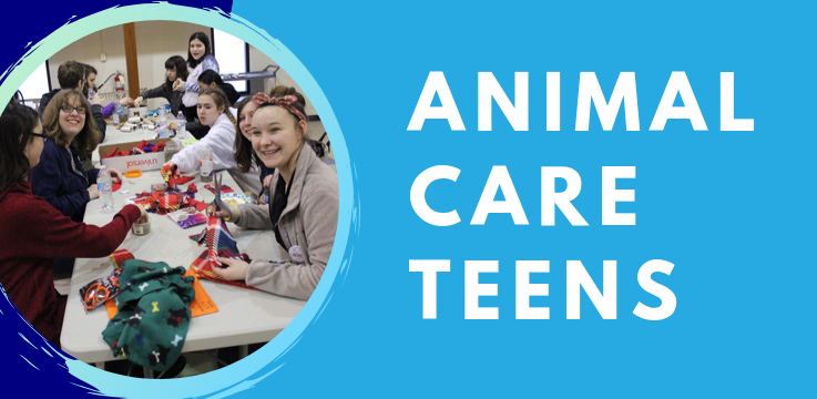 Animal Care Teens