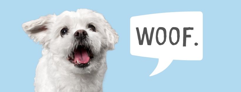 At Home With Your Dog