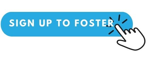 foster application