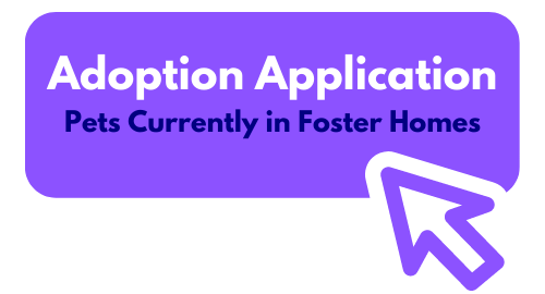 new foster app button