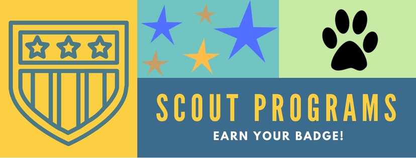 Scout Programs