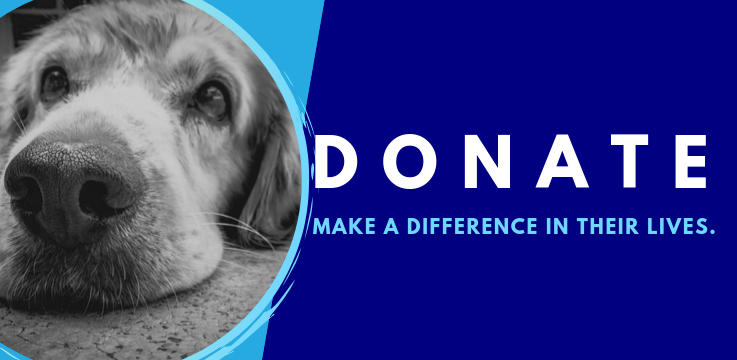 Donate City Of Fort Wayne