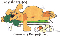dog_bed