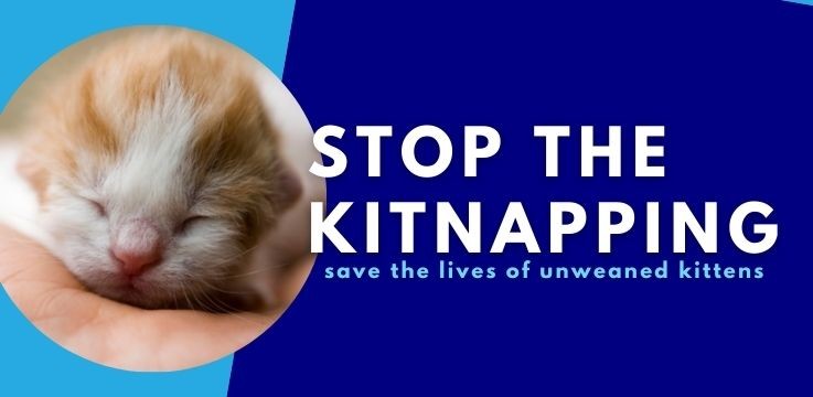 Stop the Kitnapping