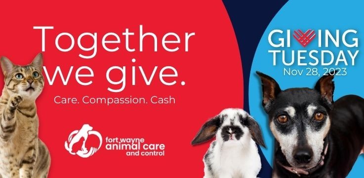 Giving Tuesday